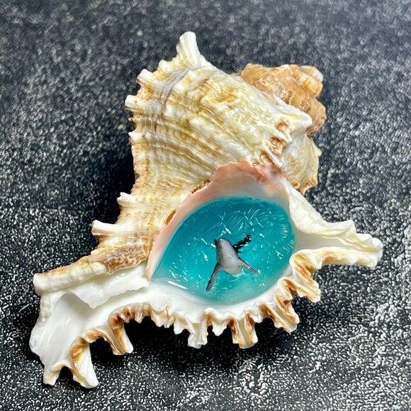 Handmade Conch shell decorative Resin Gifts for fish tank landscaping - Picture 2 of 4